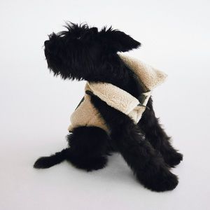 ZARA | Dog Fleece Jacket